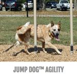 View Dog Park Outfitters Agility